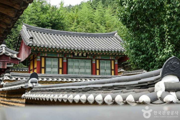 금호재 여행 추천 - 메고지고