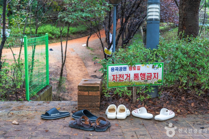 에코힐링 황톳길 여행 추천 - 메고지고