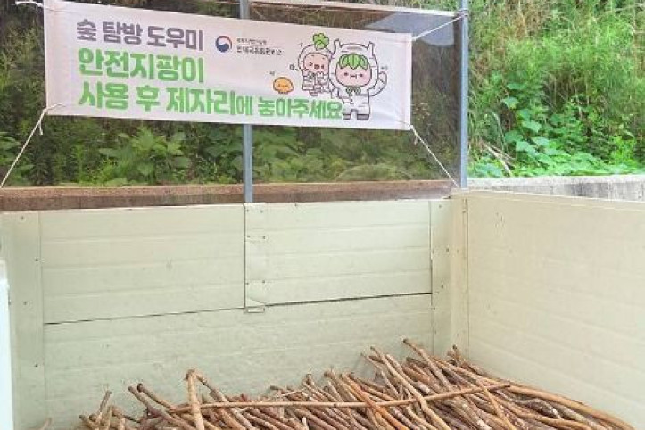 원대리 자작나무 숲 (속삭이는 자작나무 숲) 여행 추천 - 메고지고