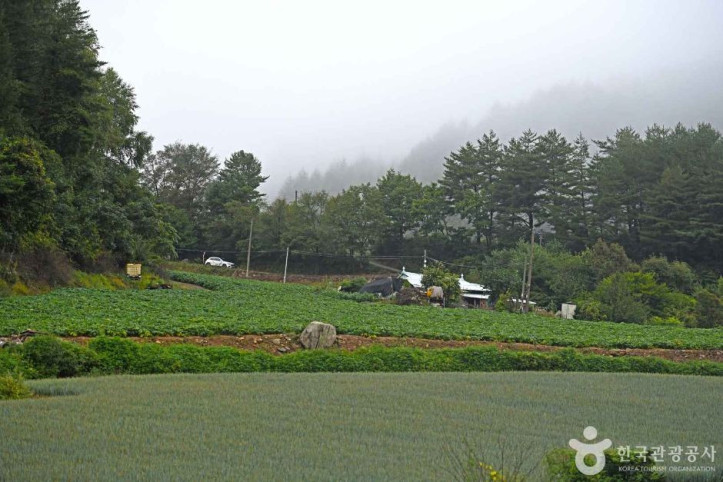 탑골마을 여행 추천 - 메고지고