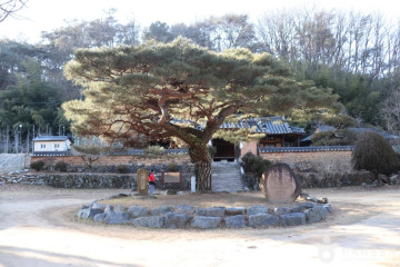 구암팜스테이마을 여행 추천 - 메고지고