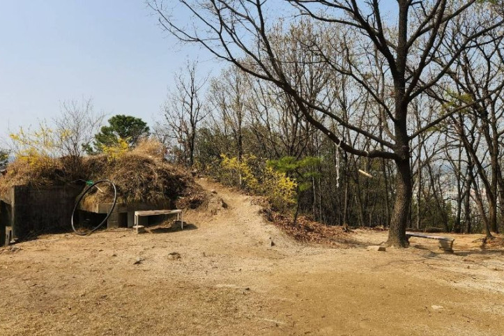 장암숲늘품길 여행 추천 - 메고지고