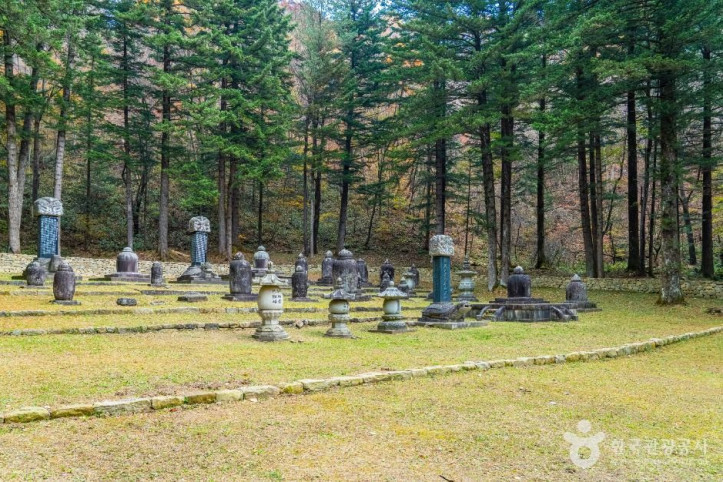 월정사 부도군 여행 추천 - 메고지고