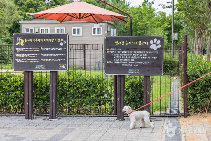 인천대공원 반려동물 놀이터 여행 추천 - 메고지고