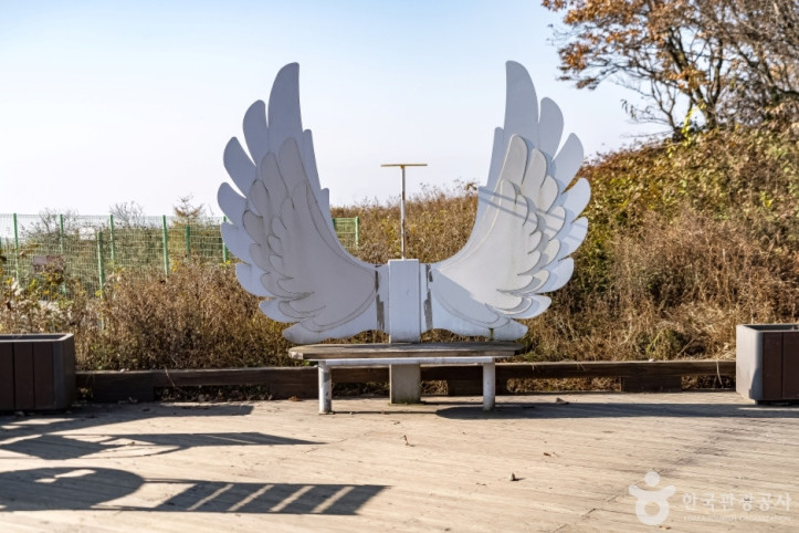 청옥산전망대 여행 추천 - 메고지고