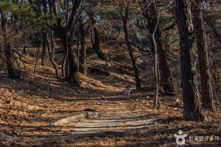 호암산성 여행 추천 - 메고지고