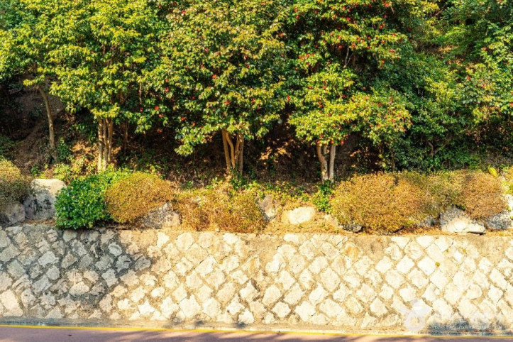 동백공원 여행 추천 - 메고지고