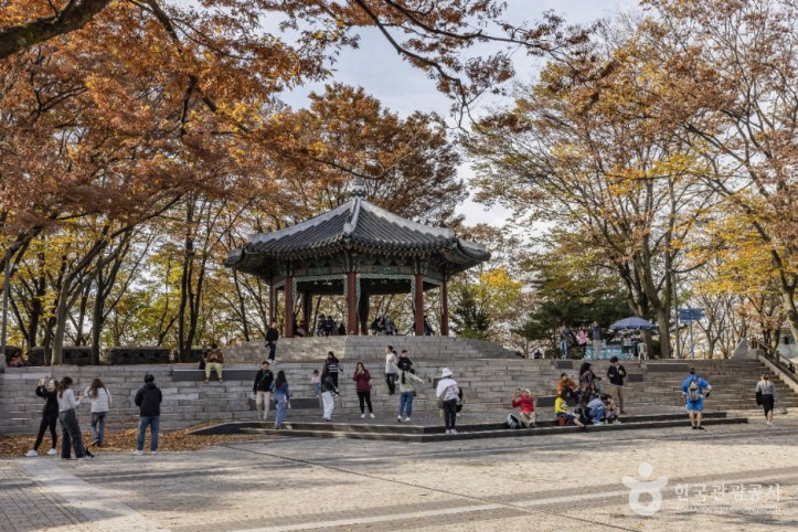 남산 팔각정 여행 추천 - 메고지고