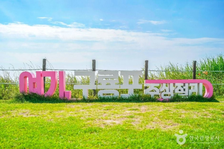 구룡포 주상절리 여행 추천 - 메고지고