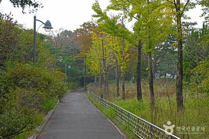 효행공원 여행 추천 - 메고지고