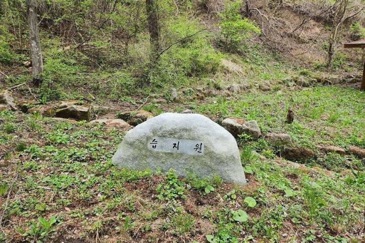 국립김천치유의숲 여행 추천 - 메고지고