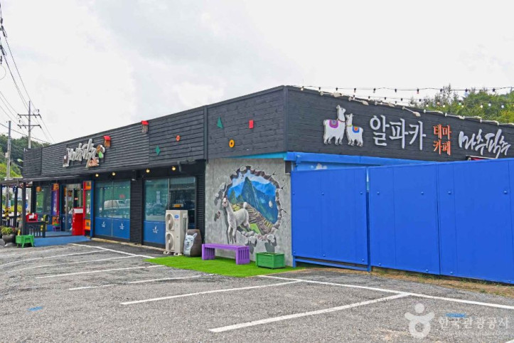 알파카 체험카페 마추픽추 여행 추천 - 메고지고