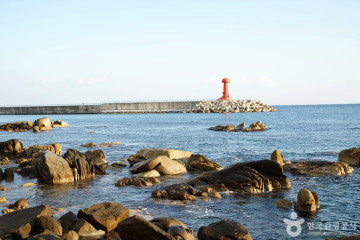남애항 여행 추천 - 메고지고