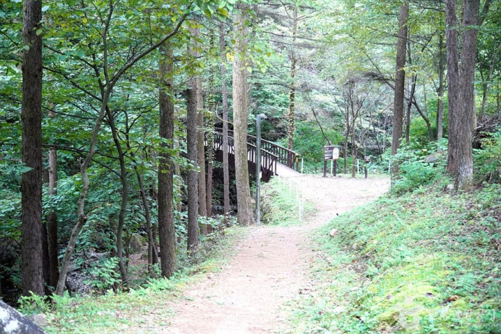 국립 백운산자연휴양림(원주) 여행 추천 - 메고지고