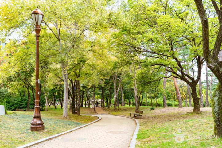여의도공원 여행 추천 - 메고지고