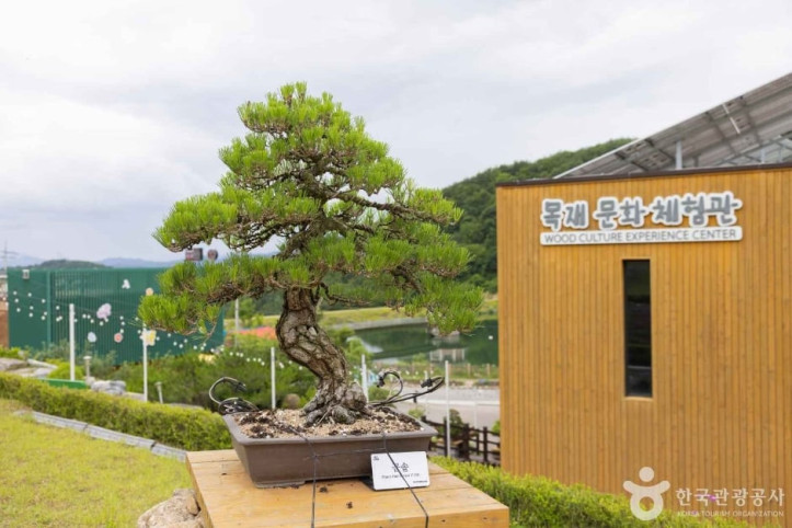 양구수목원 여행 추천 - 메고지고