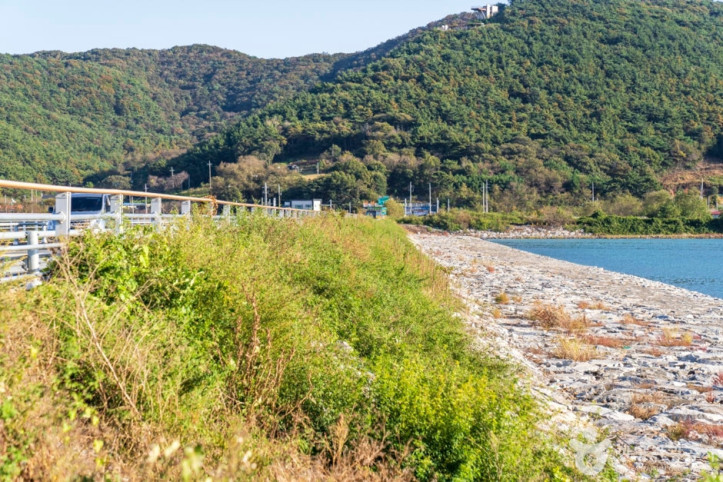 보령방조제 여행 추천 - 메고지고