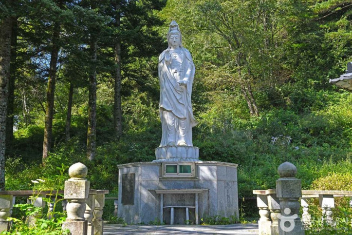 청원사(태백) 여행 추천 - 메고지고