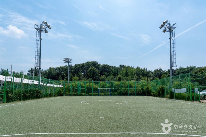 안중레포츠공원 여행 추천 - 메고지고