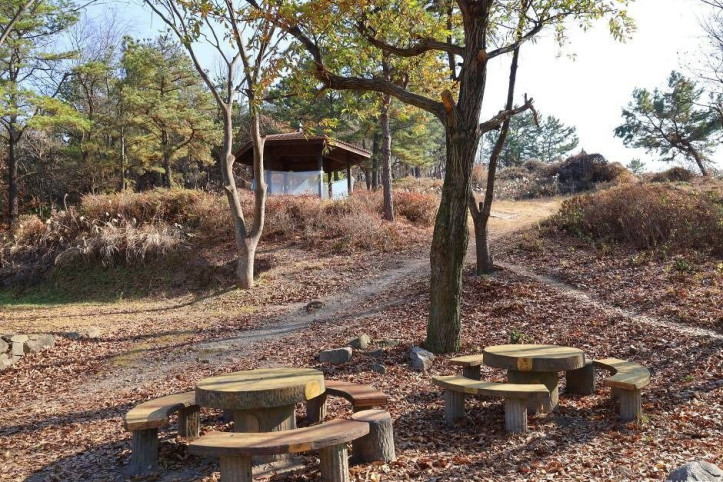 추화산성 여행 추천 - 메고지고