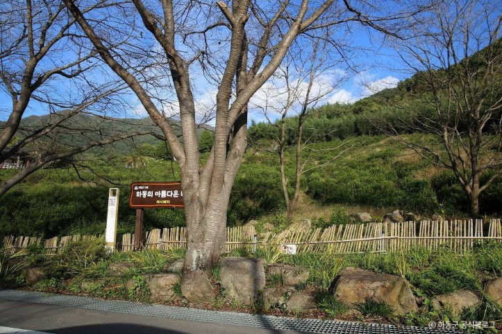 쌍계사차나무시배지 여행 추천 - 메고지고