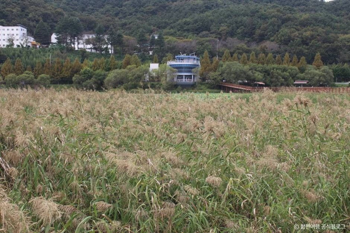 정양늪생태공원 여행 추천 - 메고지고