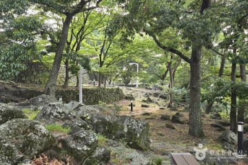 전농로 벚꽃거리 여행 추천 - 메고지고