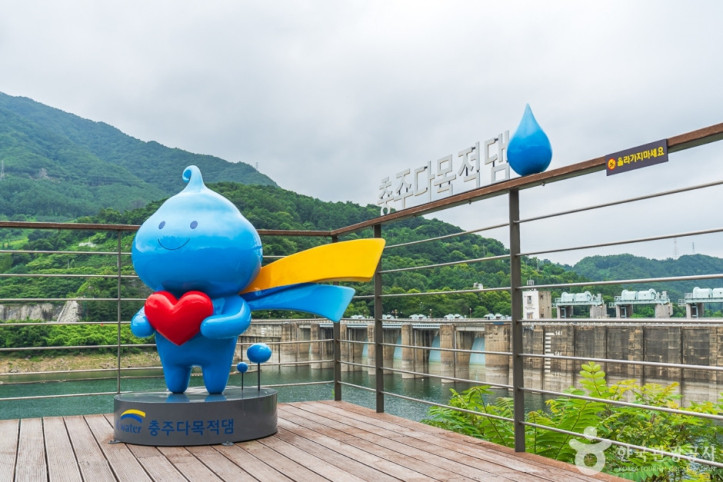 충주댐 벚꽃길 여행 추천 - 메고지고