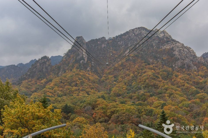 설악산 케이블카 여행 추천 - 메고지고
