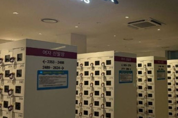 동키스타즈 여행 추천 - 메고지고
