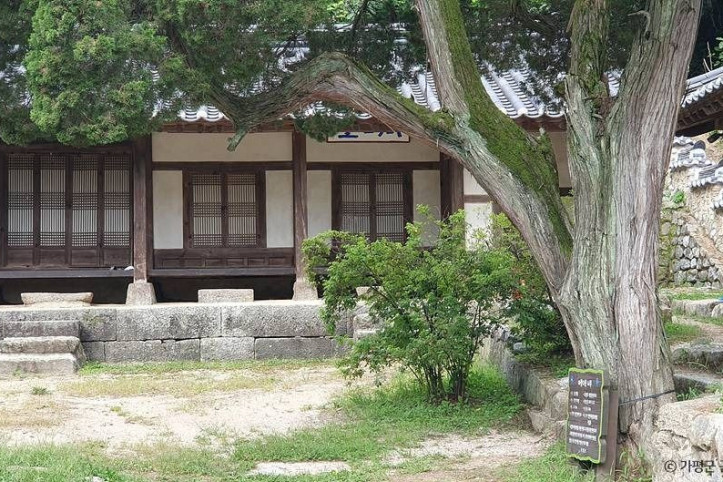 가평 연하리향나무 여행 추천 - 메고지고