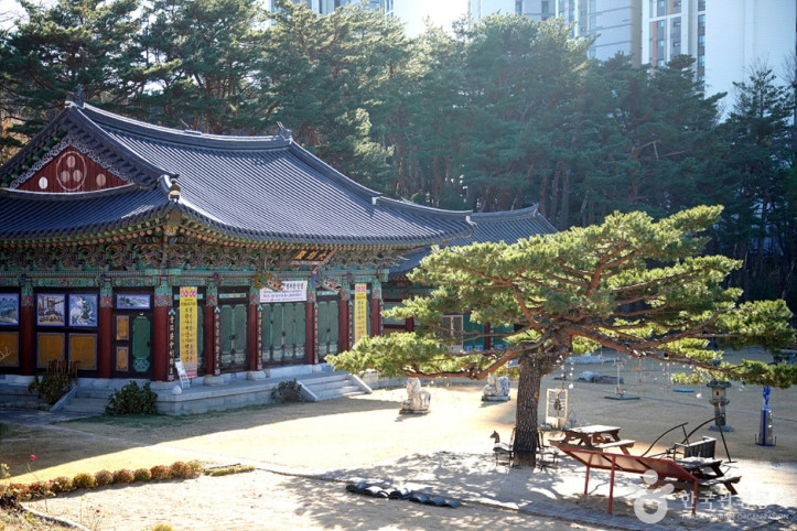 보광사(속초) 여행 추천 - 메고지고