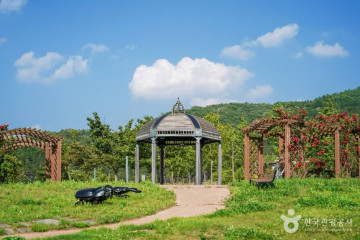 군위 불로리 마애보살입상 여행 추천 - 메고지고