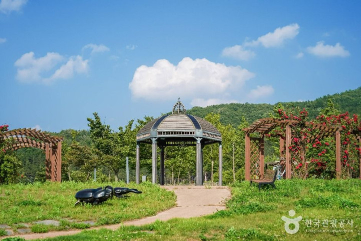 위천수변테마공원 여행 추천 - 메고지고