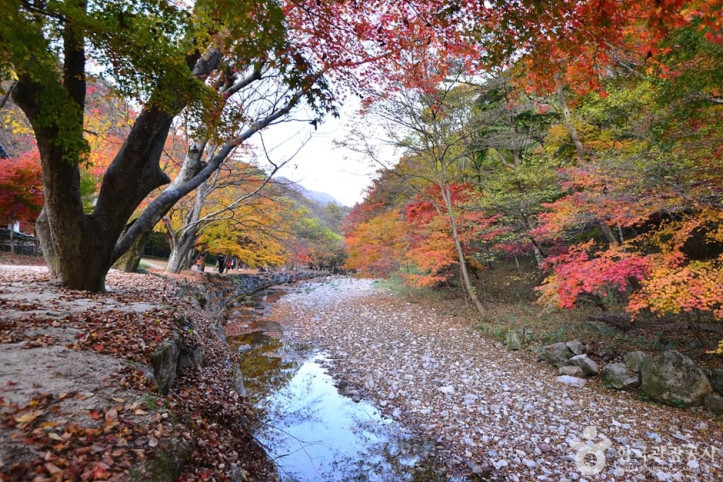 강천사계곡 여행 추천 - 메고지고