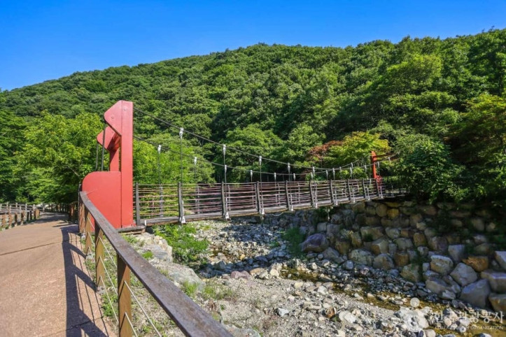 장안사계곡 여행 추천 - 메고지고