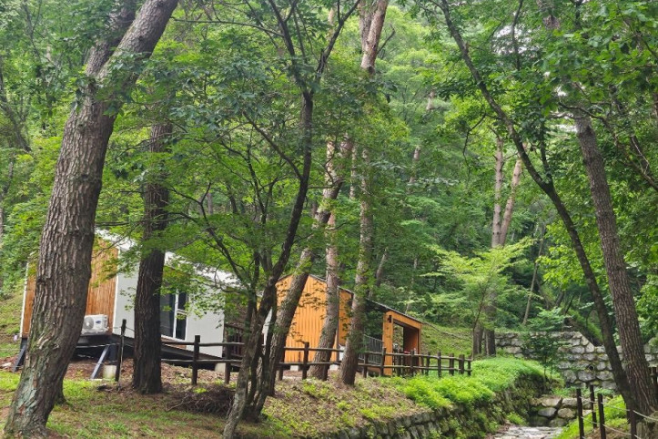 국립검마산자연휴양림 여행 추천 - 메고지고