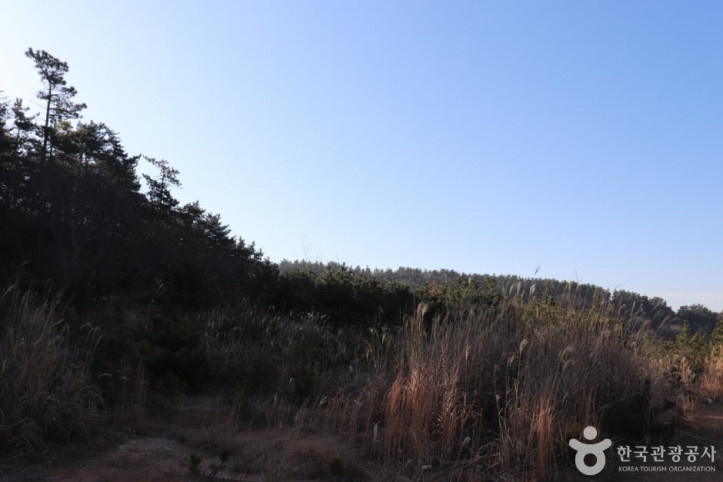 용골산 여행 추천 - 메고지고