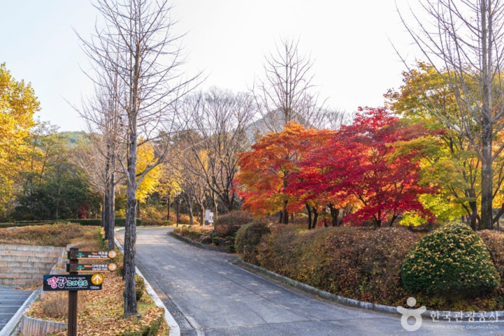 단양 다리안관광지 여행 추천 - 메고지고