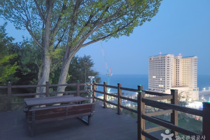 대포항 전망대 여행 추천 - 메고지고