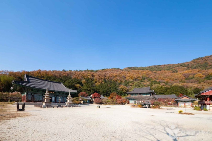 보림사(장흥) 여행 추천 - 메고지고