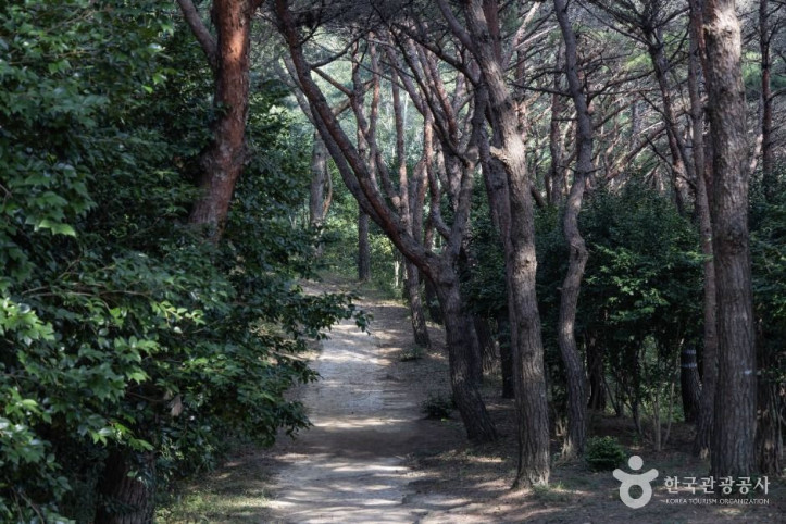 남해 관음포 이충무공 유적 여행 추천 - 메고지고