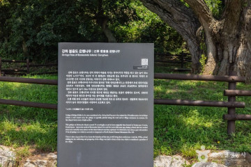 강화 서도 중앙교회 여행 추천 - 메고지고