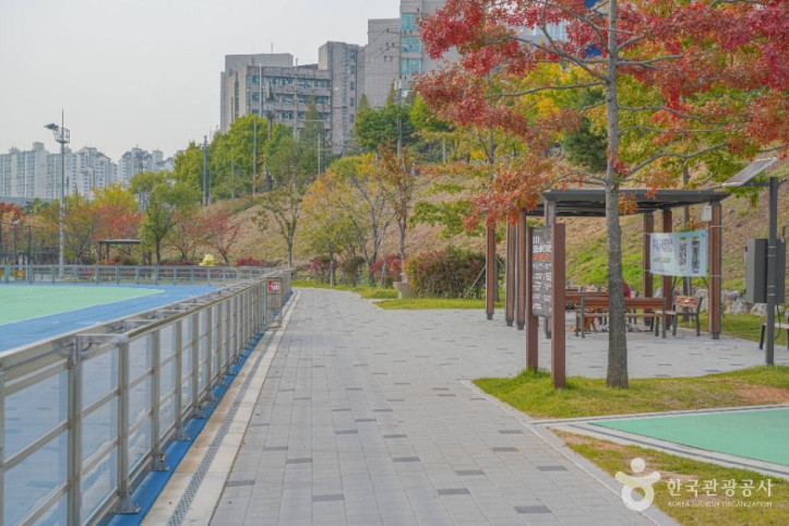 살곶이체육공원 여행 추천 - 메고지고