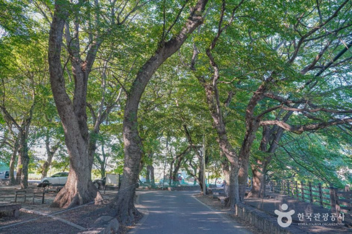 용전숲 여행 추천 - 메고지고