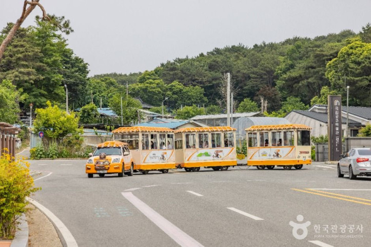 고마열차 여행 추천 - 메고지고