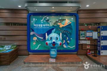 소쿠리섬 여행 추천 - 메고지고
