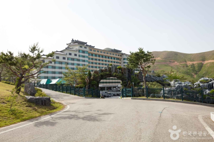 동해약천온천실버타운 여행 추천 - 메고지고