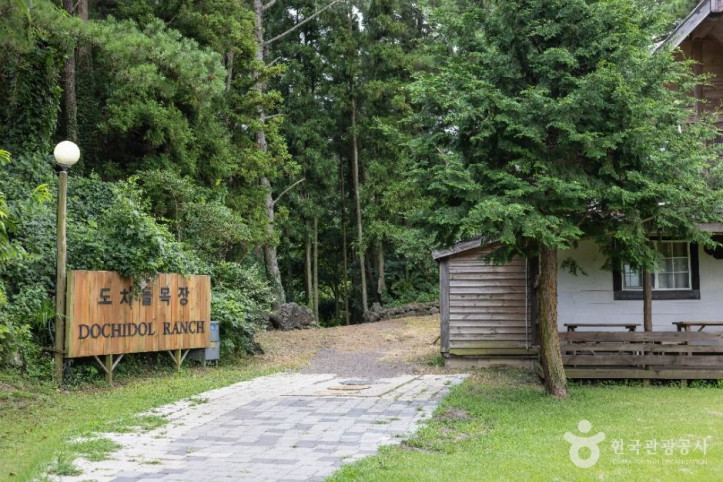 도치돌 알파카목장 여행 추천 - 메고지고