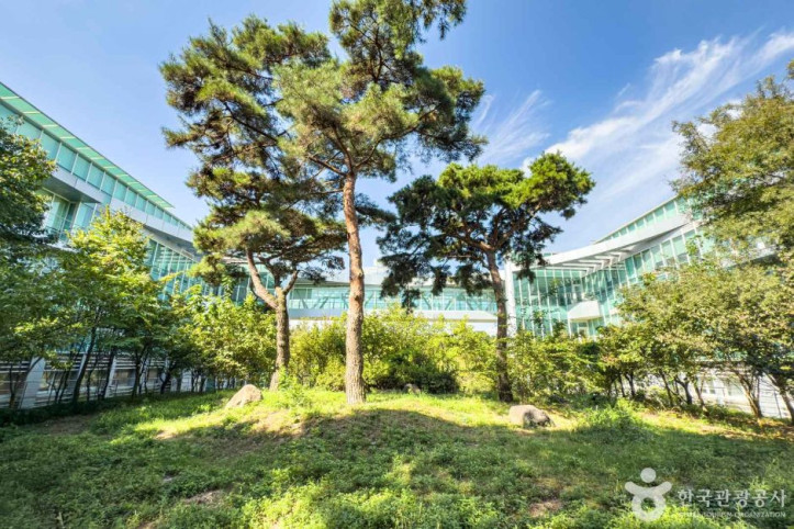 한국한의약진흥원 여행 추천 - 메고지고